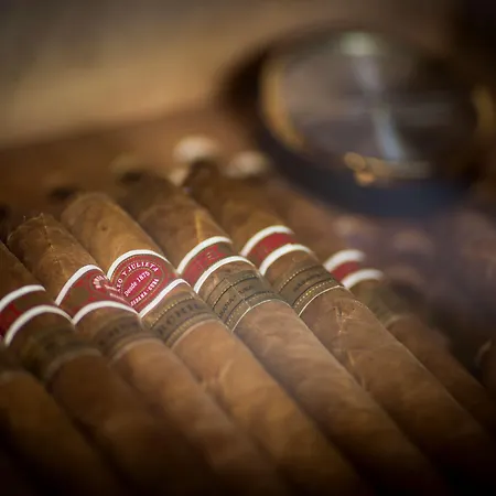 Hotel Grand Zermatterhof