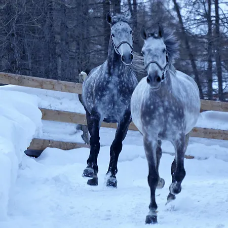 Grand Zermatterhof צרמט