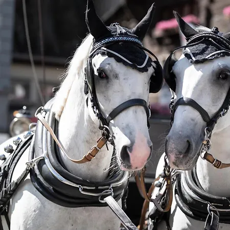 Grand Zermatterhof מלון 5*