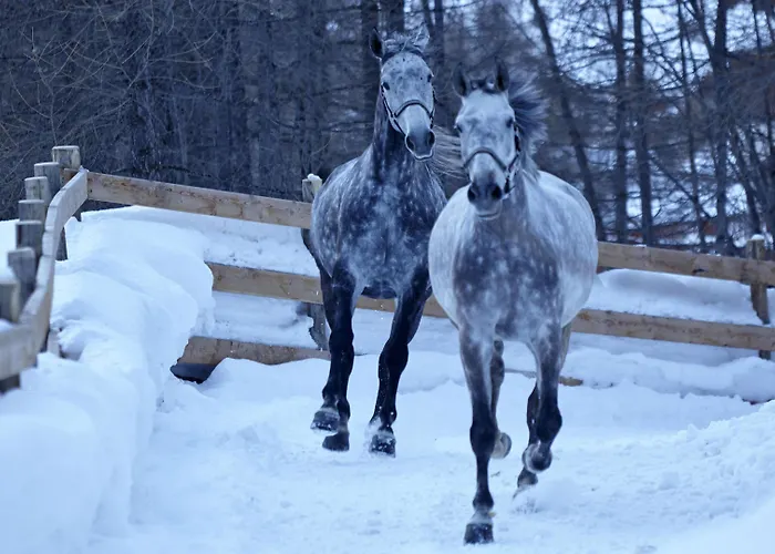 Grand Zermatterhof צרמט