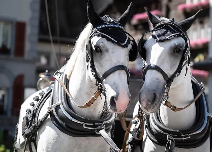 Grand Zermatterhof Hotel 5*